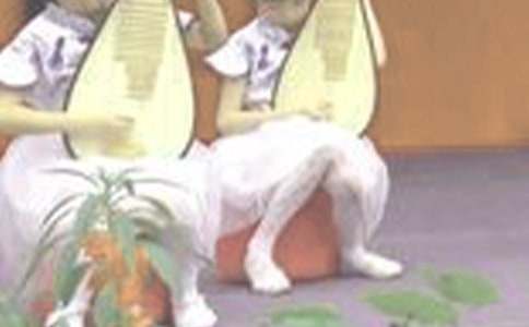 ���õ�����