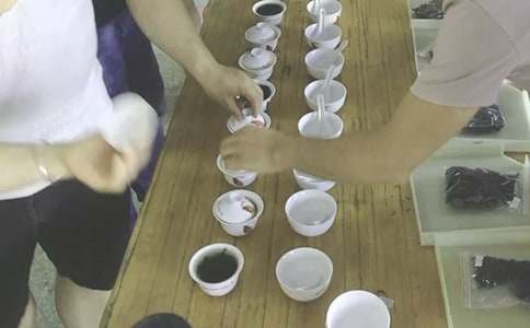 品鑒會策劃方案