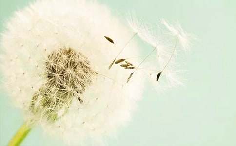 �ѹ�Ӣ��ӛ�����ģ�ͨ��29ƪ��