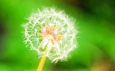 ���ѹ�Ӣ���̌W��˼���x2ƪ