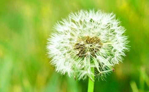 ���ѹ�Ӣһ���pӯ��(y��u)������2000��