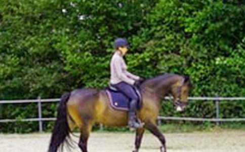 �P(gu��n)���T�R����400��6ƪ