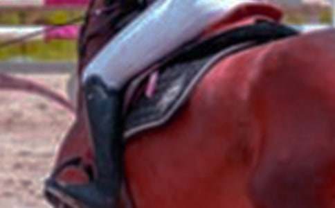 �����x���T�R����300��ʮƪ