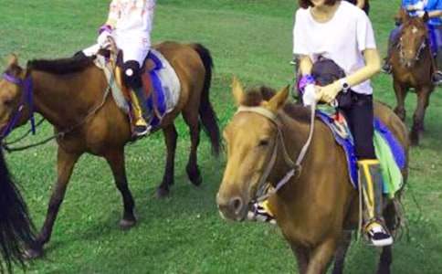 �����á��T�R����300��20ƪ