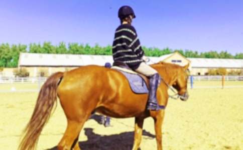 ��(n��i)�ɹ��T�R�����ģ����x12ƪ��