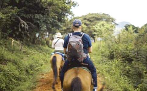 �茑�T�R�Ę�Ȥ����