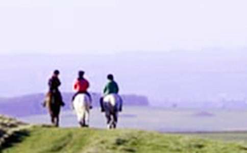 騎馬比賽作文500字