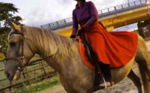 �T�R׌�ҌW(xu��)��(hu��)�ˈ�(ji��n)��(qi��ng)���ķ���