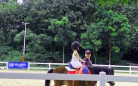 我學會騎馬作文