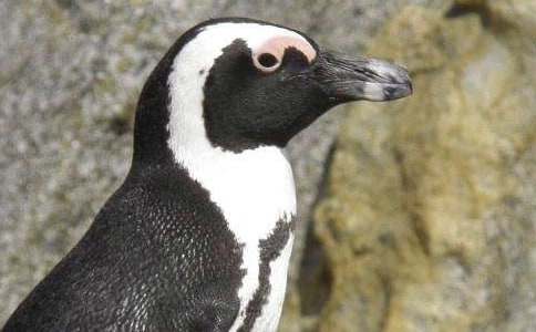 �ҵ���żС���Z����400�֣����x22ƪ��