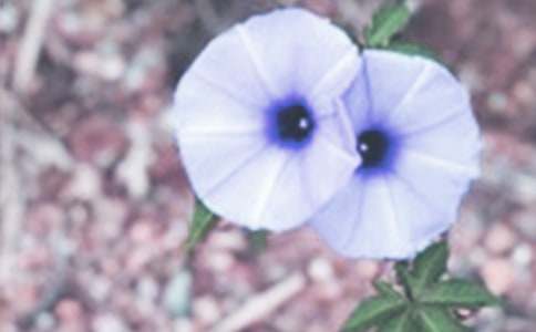 �ְ־�����������