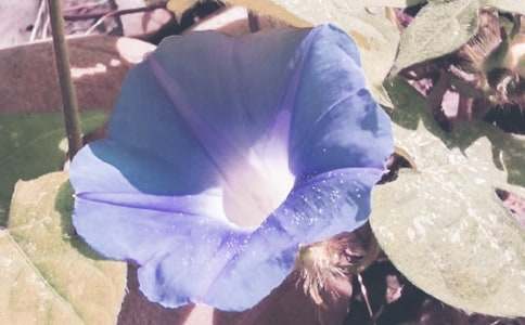 �^�젿����������