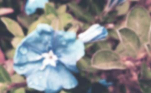 �������Yٝ�������ģ����x33ƪ��