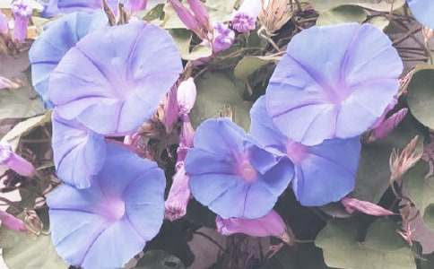 �^�젿��������28ƪ