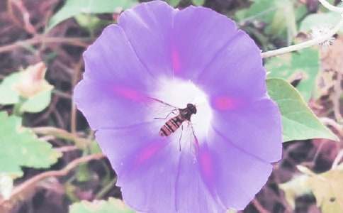 �^�젿��������