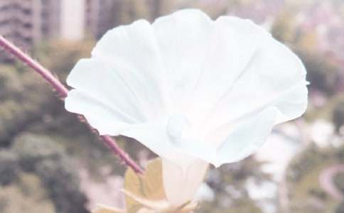 ��ϲ�g������С�W(xu��)������400��