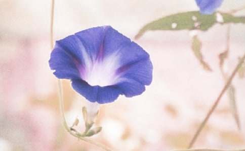 ��������������