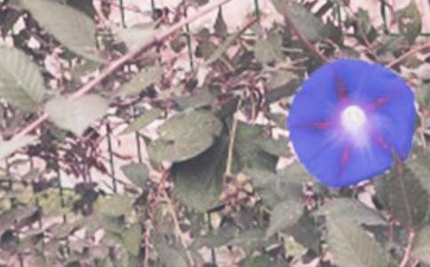 �辰����ɢ�ģ�����Ġ�����