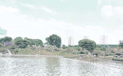 美麗的千燈湖作文(精選44篇)