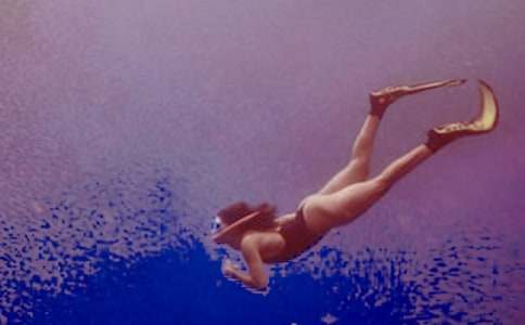 潛水的信心五年級作文