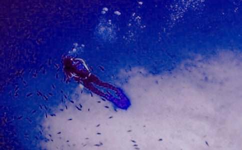 �P(gu��n)�ڝ�ˮ����