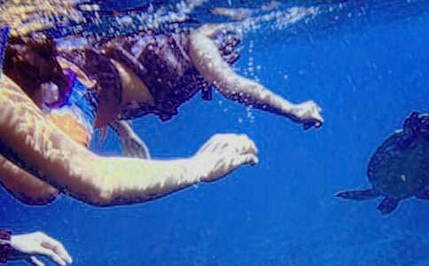 潛水的信心作文