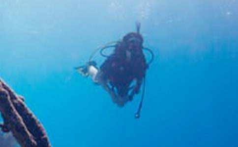 第一次潛水作文6篇