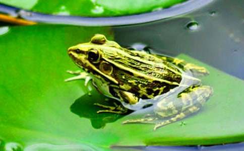 С���ܺ����܋���ͯԒ����