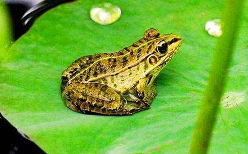 ����ͯԒ���£���������