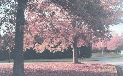 һ�������x���＾�����600������