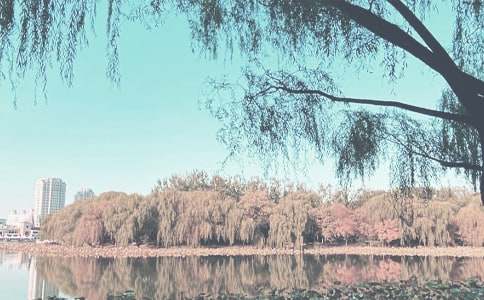 �＾���Б�����