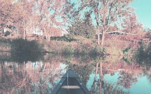 形容秋季的詞語(精選200個)