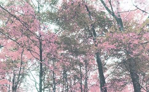 �＾�~������600��