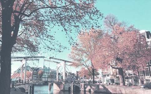 ��������Ґ������＾����600�֣�ͨ��56ƪ��