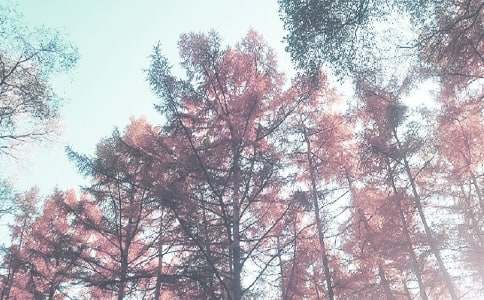 �茑�＾���~�Z��Ԋ��