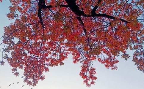 �������~���ļ��\5ƪ