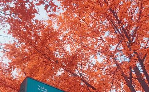 Ʒ�����յ�˽�Z��-��������