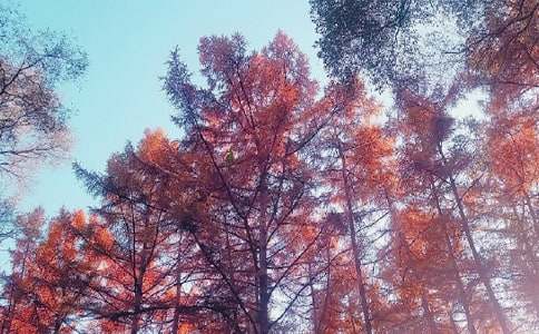 ���]����������ɽ����