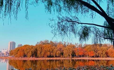 品《秋日的私語(yǔ)》的抒情作文