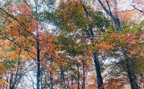 �������~����800��