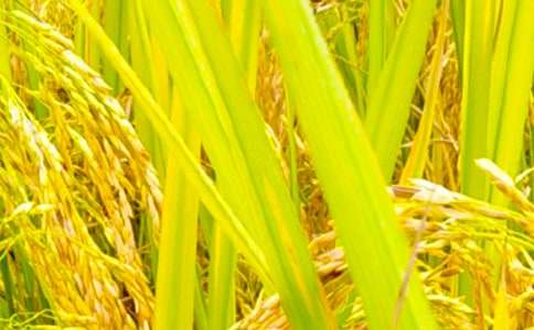 �茑���յ�Ԋ�~���x15��