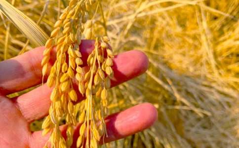 �y������������