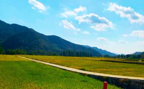 ��������600�֣����x34ƪ��