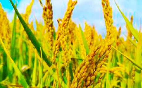 �Ĵ��굽����,�y�ֹ��еİ༉