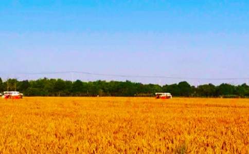 ���յ�����400�֣�ͨ��43ƪ��