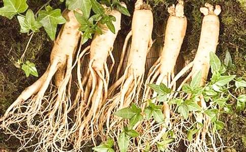 �������������˅����{����Ŀ��