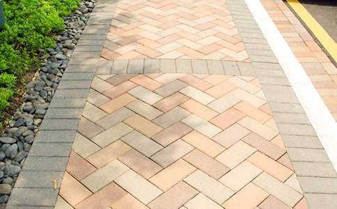 未來的人行道作文5篇