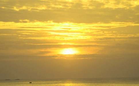 �ճ���������