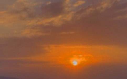 ���侫�x����