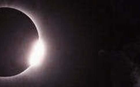 �����һ������ʳ������